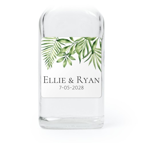 Tropical Plant Frame Tropical Plant Frame