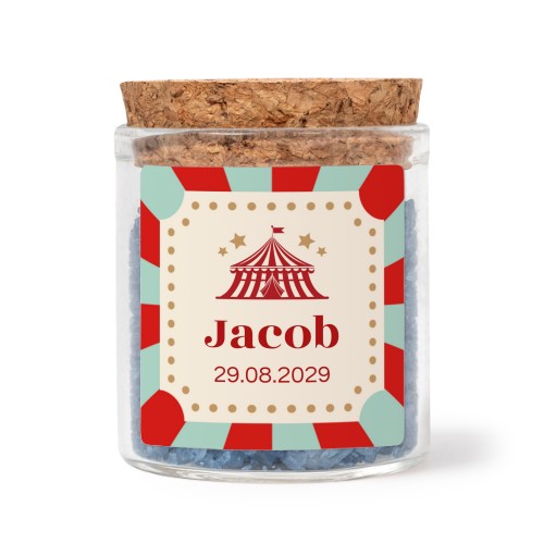 Circus Ticket Circus Ticket