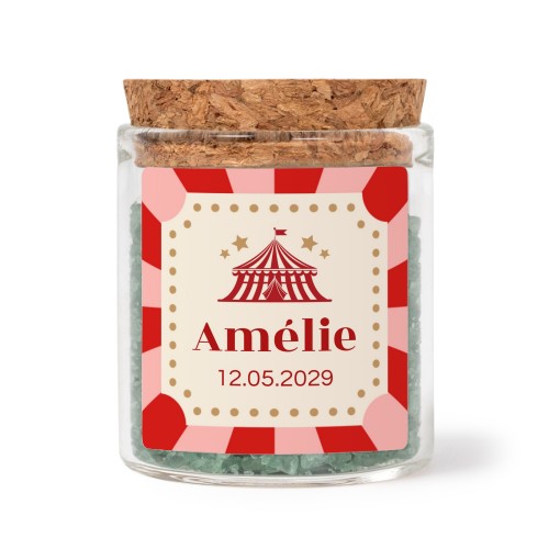 Circus Ticket Circus Ticket