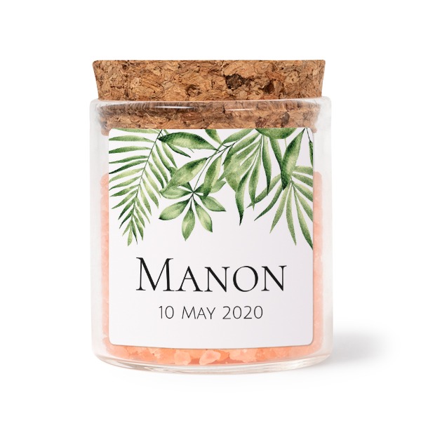 Tropical Plant Frame Tropical Plant Frame