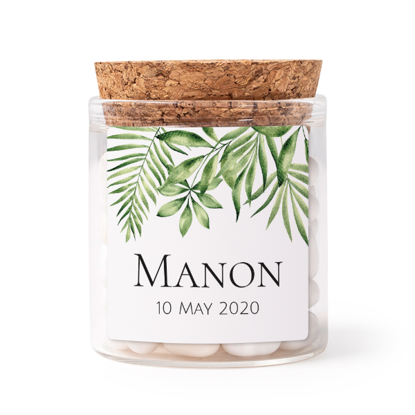 Tropical Plant Frame