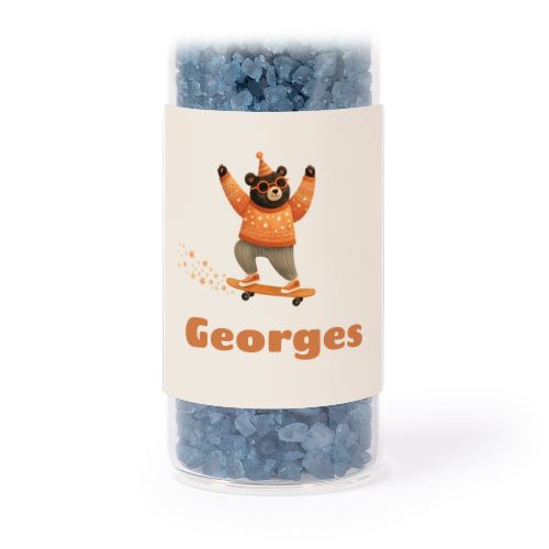Retro Skater Bear