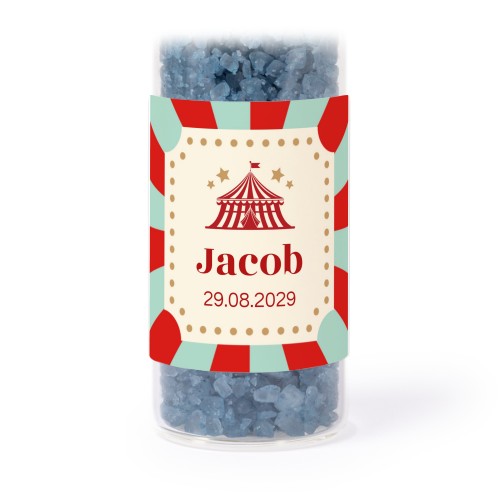 Circus Ticket Circus Ticket