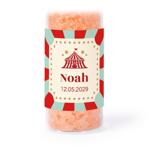 Circus Ticket Circus Ticket