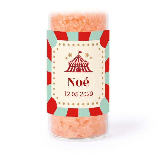 Circus Ticket Circus Ticket