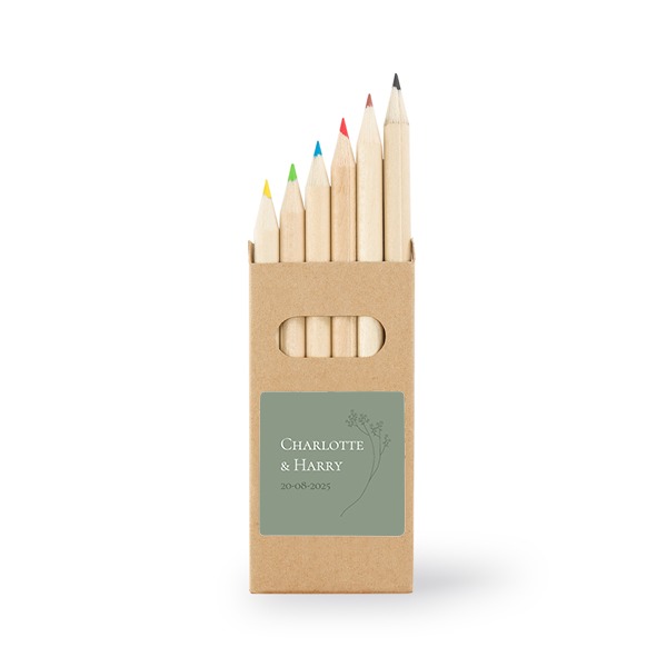 Kleurpotloden (Set van 12) Stickers vierkant