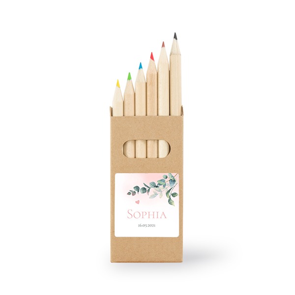 Boîtes de crayons de couleur (lot de 24) Autocollants Carrées 