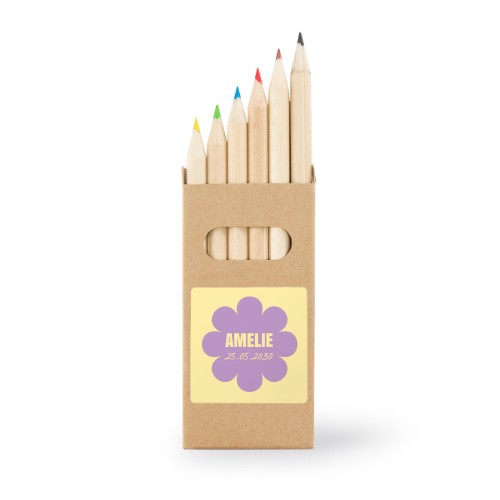 Boîtes de crayons de couleur (lot de 24) Autocollants Carrées 