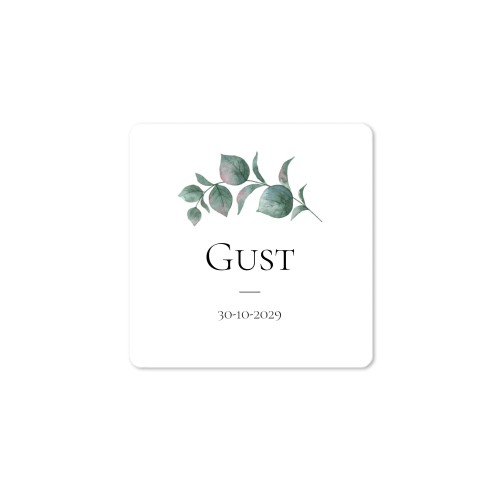 Mini Soap Dispenser Natural Square (Set of 12)