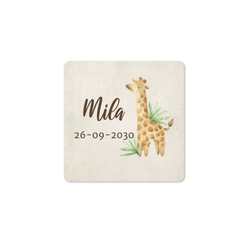 Såpepumpe Natur Kvadrat - 12 stk