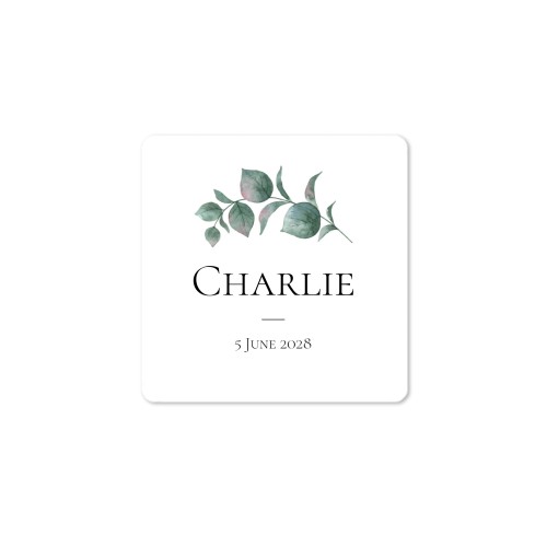 Distributeur de savon bois & sticker carré (lot de 12)