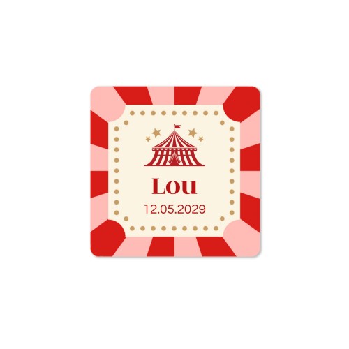 Circus Ticket Circus Ticket