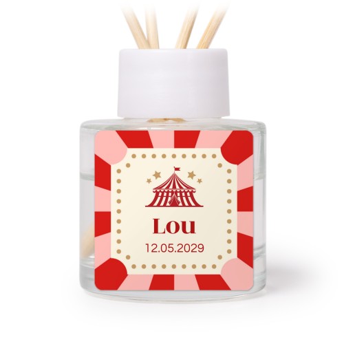 Circus Ticket Circus Ticket