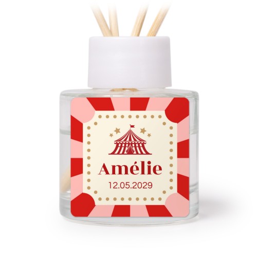 Circus Ticket Circus Ticket