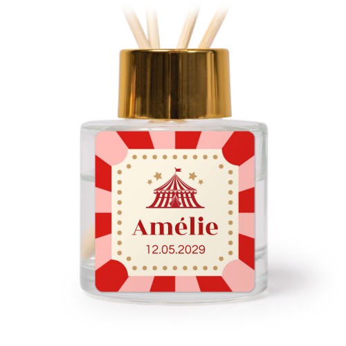 Circus Ticket Circus Ticket