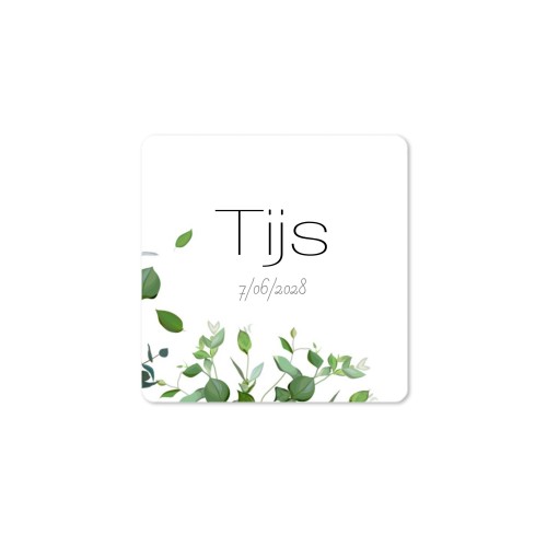 Diffuser med doftpinnar Natur Kvadratisk (set med 12)