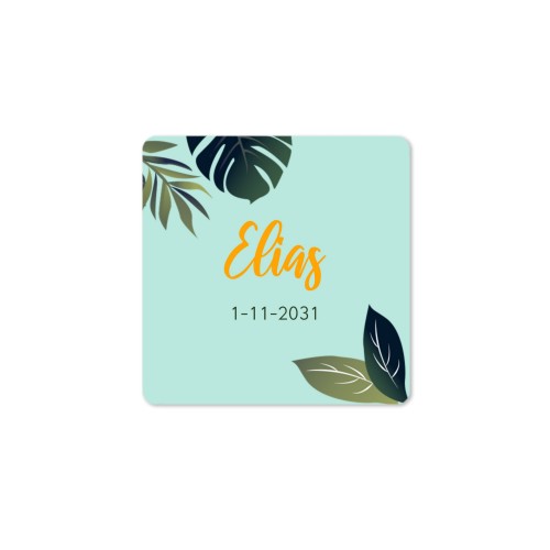 Diffuser med doftpinnar Natur Kvadratisk (set med 12)