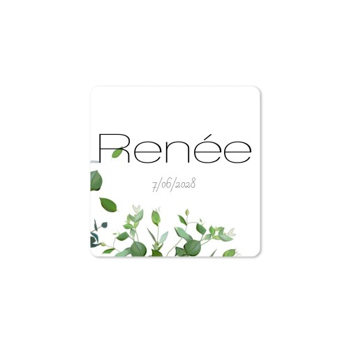 Diffuser med doftpinnar Natur Kvadratisk (set med 12)