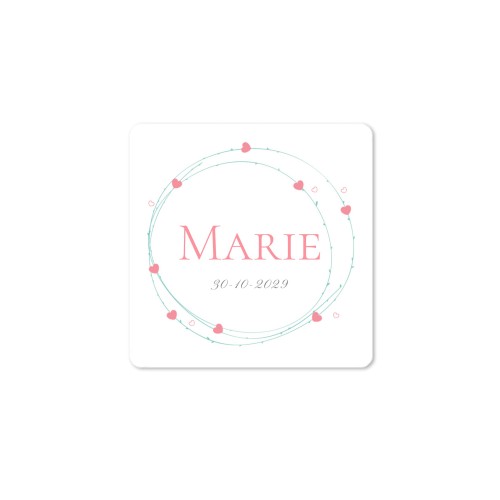 Diffuser med doftpinnar Natur Kvadratisk (set med 12)