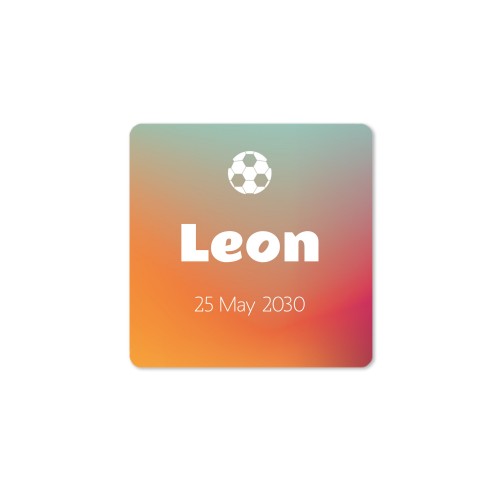 House Perfume Diffuser Natural Square - set of 12