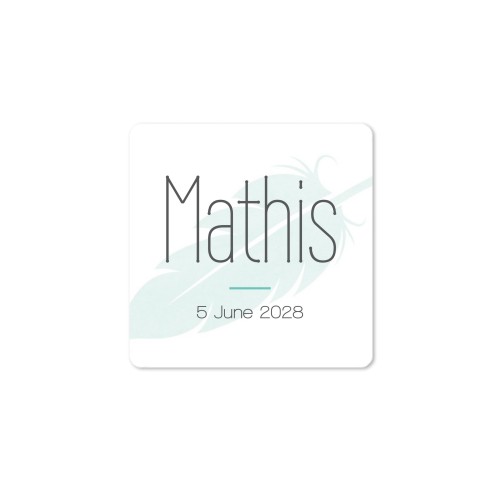 Diffuser med duftpinner Natur Firkantet (sett med 12)