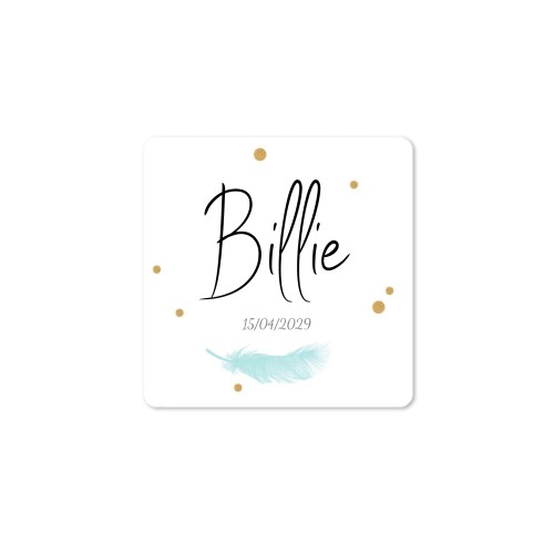 Feather Sparkles  - Text Only