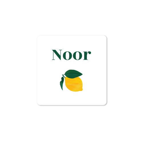 House Perfume Diffuser Natural Square - set of 12