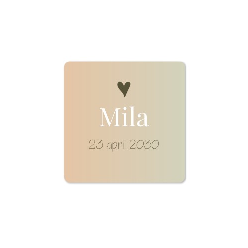 House Perfume Diffuser Natural Square - set of 12 House Perfume Diffuser Natural Square - set of 12