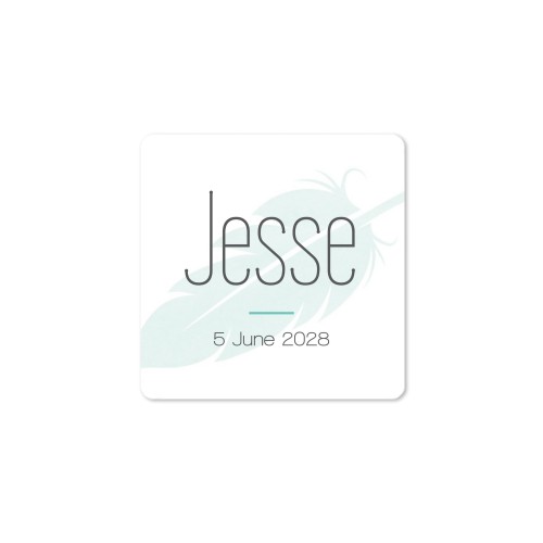 Diffuser med duftpinner Natur Firkantet (sett med 12) Diffuser med duftpinner Natur Firkantet (sett med 12)