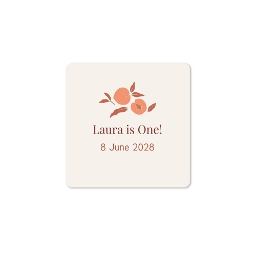 House Perfume Diffuser Natural Square - set of 12