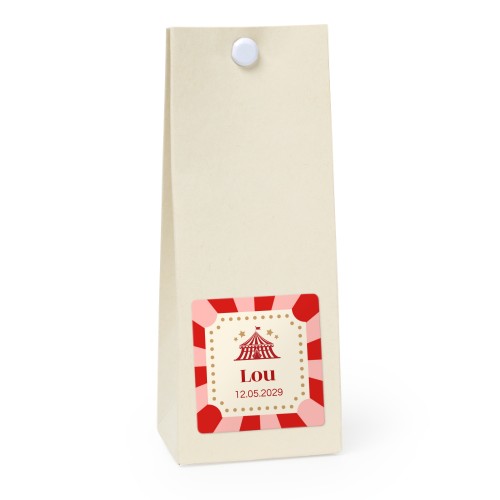 Circus Ticket Circus Ticket