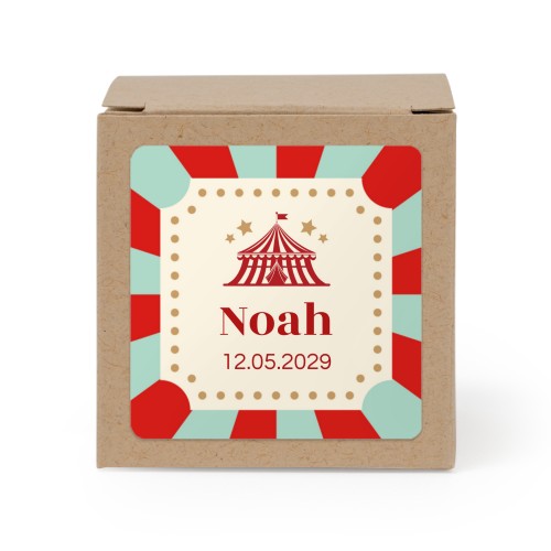 Circus Ticket Circus Ticket