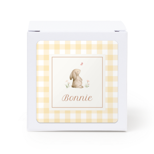 Cute Bunny Vichy