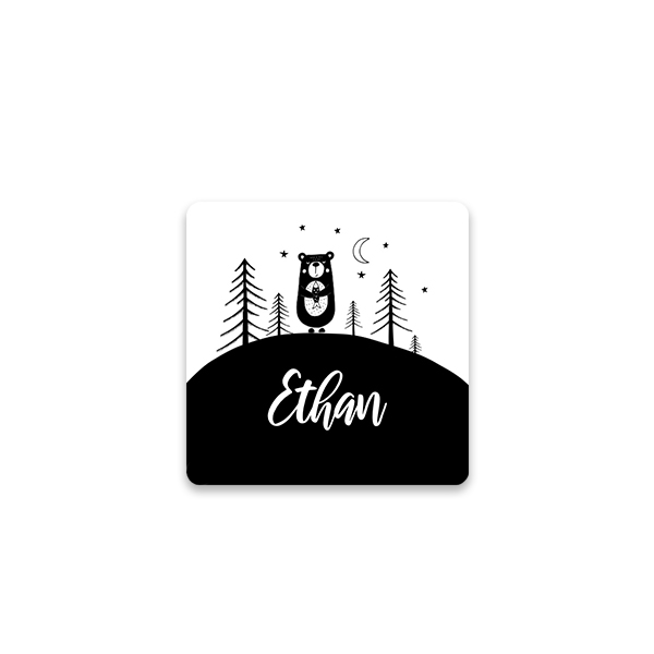 PlanetBearTO PlanetBearTO