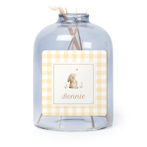 Cute Bunny Vichy