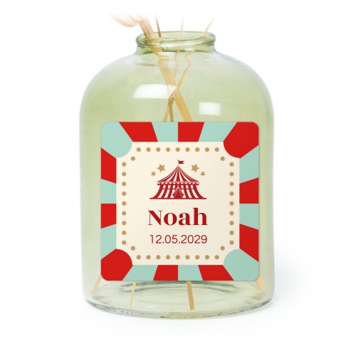 Circus Ticket Circus Ticket