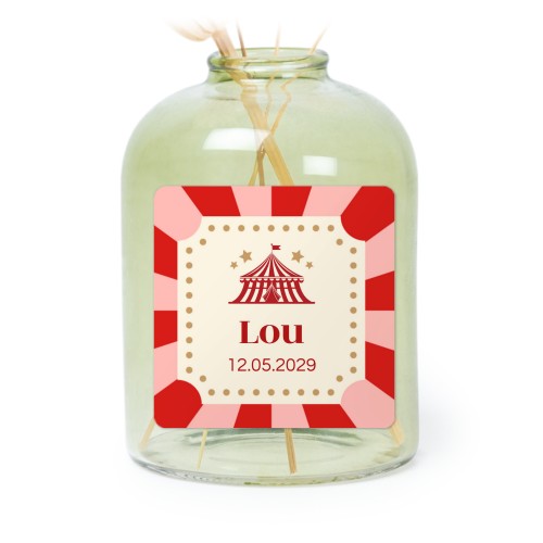 Circus Ticket Circus Ticket