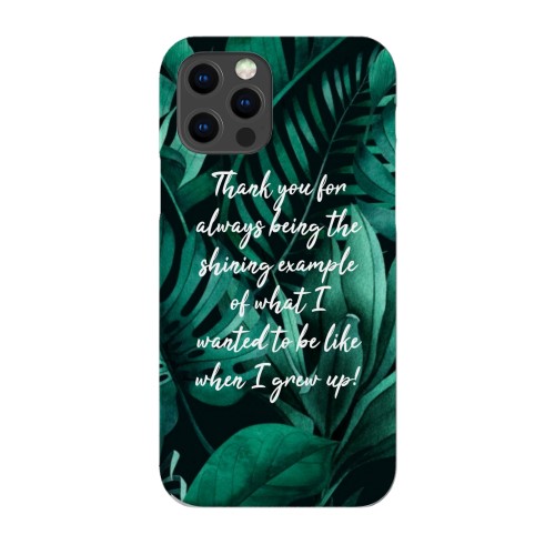 iPhone Case 12 Pro iPhone Case 12 Pro