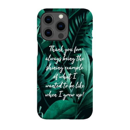 iPhone Case 13 Pro iPhone Case 13 Pro