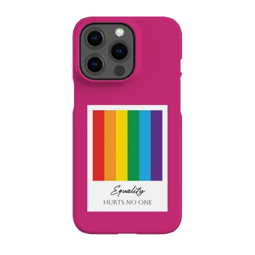 iPhone Case 13 Pro