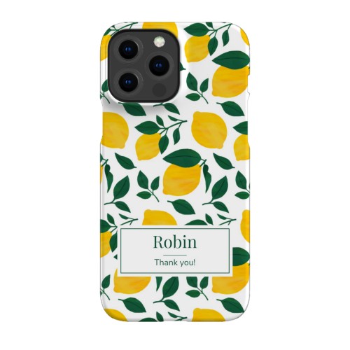 Coque iPhone 13 Pro Max