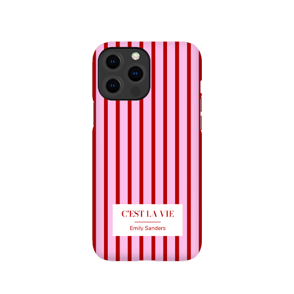 iPhone Case 13 Pro Max