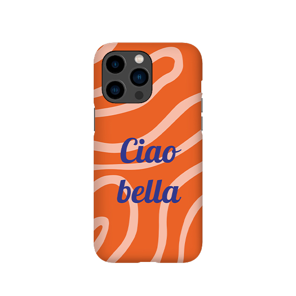 iPhone Case 14 Pro Max