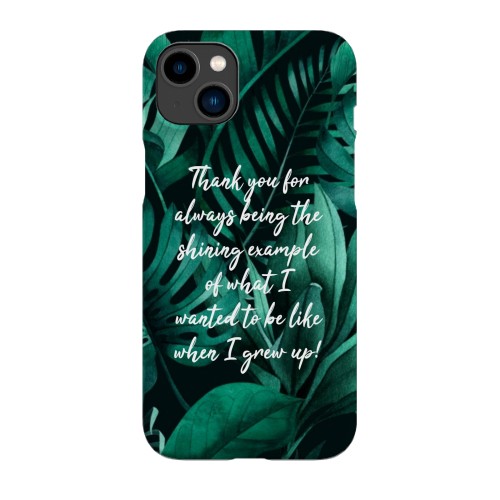 iPhone Skal 15 Plus