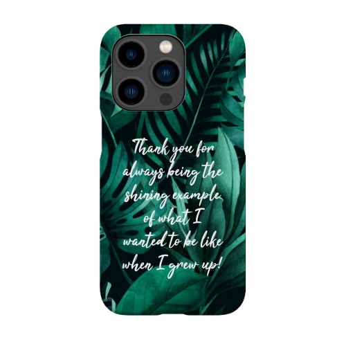 Jungle Vibes Jungle Vibes