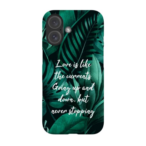 iPhone-skal 16