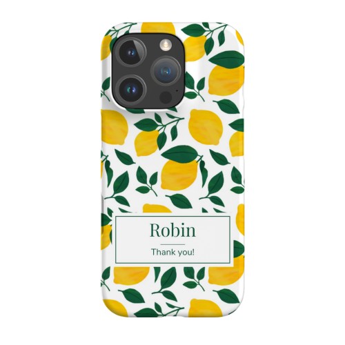 iPhone Case 16 Pro iPhone Case 16 Pro