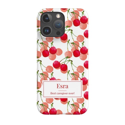 iPhone Case 16 Pro Max iPhone Case 16 Pro Max