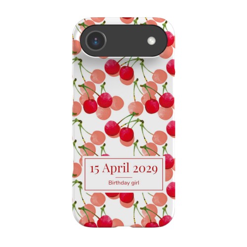 iPhone Case 17 Air iPhone Case 17 Air