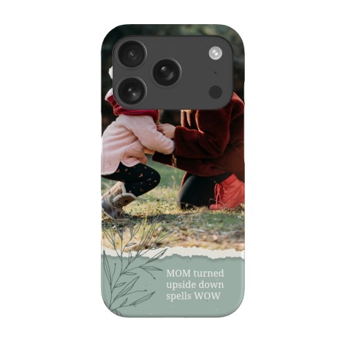 iPhone deskel 17 Pro